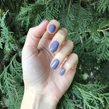 Danika, Киев Фото - 91