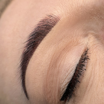 Пудрові брови