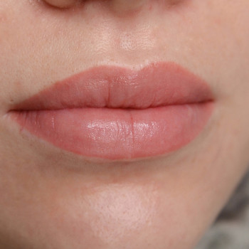 Татуаж губ в натуральній техніці
                    Мастер перманентного макияжа Татьяна Львов