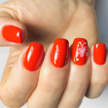 Наталья Балаховская, Кременчуг Фото - 1