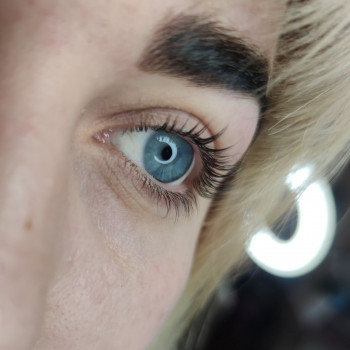 Ламінування вій
                    Салон красоты Афродита Кривой Рог