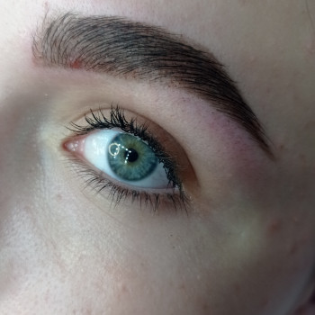 Коррекция+покраска, фото - бровист Марина Огородник