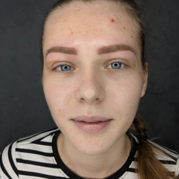 Пудрове напилення брів