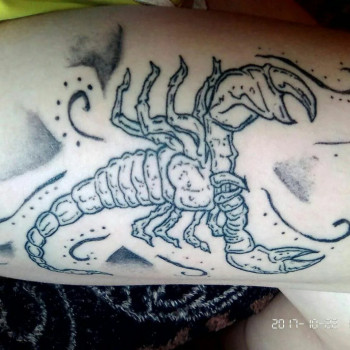 Дмитро Левченко, Миргород Фото - 8