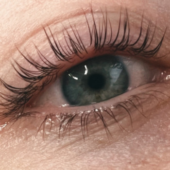 Фарбування, ламінування, ботокс вій
                    Лешмейкер Ann Киев