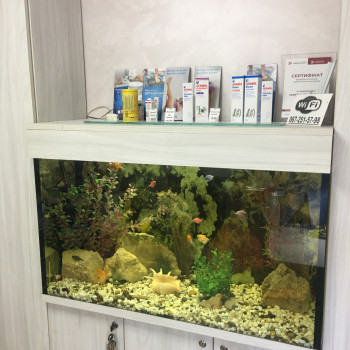 Лилу, Киев Фото - 11