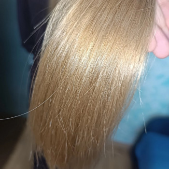 Полировка волос
                    Тритментолог Карина Каменское