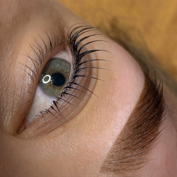 Корекція та фарбування брів
                    Бровист Эвелина Киев