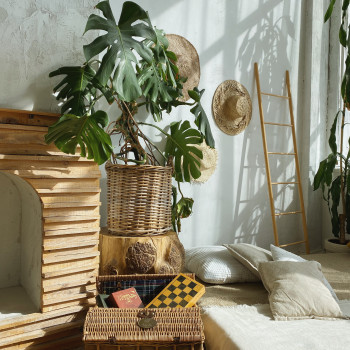 Image Photostudio, Київ Фото - 22