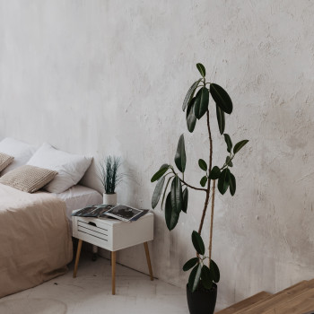 Image Photostudio, Київ Фото - 13