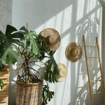 Image Photostudio, Київ Фото - 21