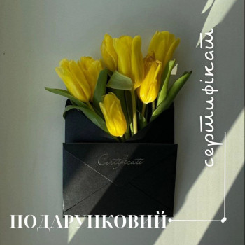 Територія масажу, Харьков Фото - 9