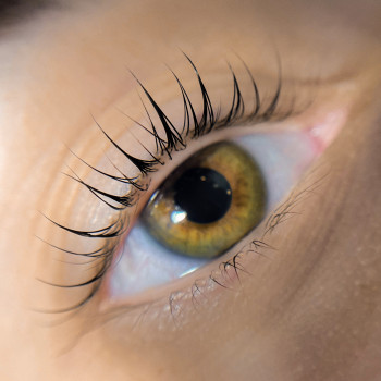 Ламінування вій
                    Лешмейкер Ольга Дніпро