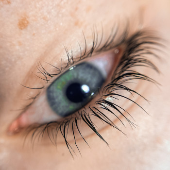 Ламінування вій
                    Лешмейкер Ольга Дніпро