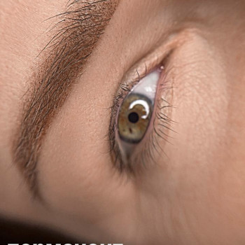 Перманент(татуаж)бров удаление татуажа лазер/ремувер, фото - Салон красоты Cocoon