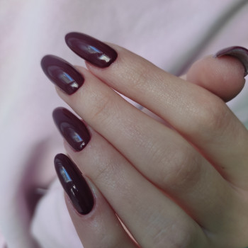 Однотонний (монохромний) манікюр винний, фото - Майстер манікюру Олена Стасевич