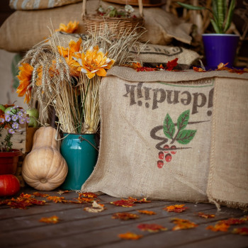 Оренда фотостудії
                    Фотостудия Puzzle studio Запорожье