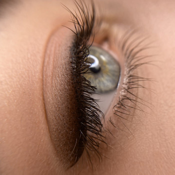 Academy Black Cat, Киев Фото - 6