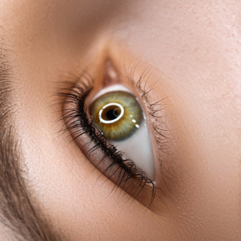 Academy Black Cat, Киев Фото - 22