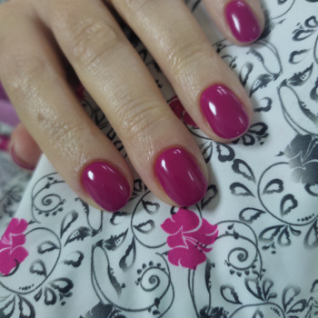 Однотонный (монохромный) маникюр малиновый, фото - Мастер маникюра Олена Стасевич