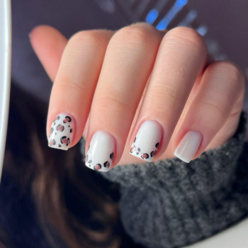 Lac&Muss, Вінниця Фото - 10