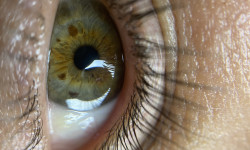 Ламинирование ресниц Косметолог Олена Лубни