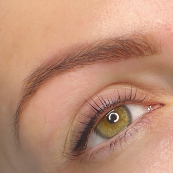 Окрашивание бровей
                    Косметолог Олена Лубни