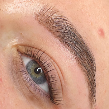 Окрашивание бровей
                    Косметолог Олена Лубни