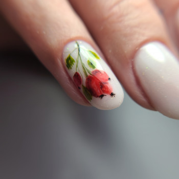 Вікторія Ледней, Берегово Фото - 9