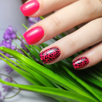 Черный маникюр розовый леопардовый, фото - Мастер маникюра Лилия Корымова