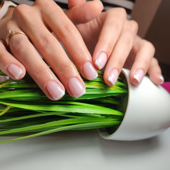 Манікюр с дизайном френч
                    Мастер маникюра Лилия Харьков