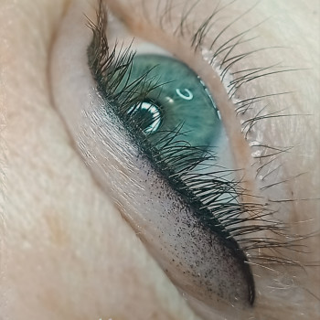 Елена Яровая, Сумы Фото - 36