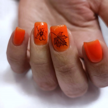 Оксана Односум, Київ Фото - 6