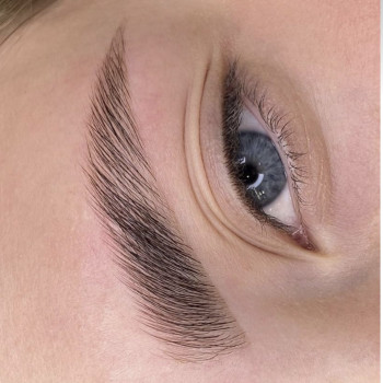 Ламінування брів/довготривала укладка
                    Майстер перманентного макіяжу Ольга Дніпро