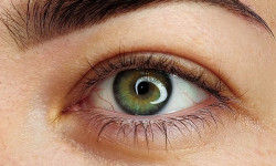 Пудрове напилення брів Майстер перманентного макіяжу Ксения Нетішин