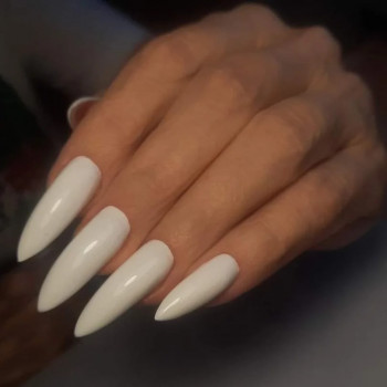 Майстер Анна