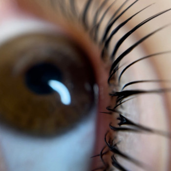 Фото з портфоліо майстра Надія Мішурінська (бровіст, Черкаси)