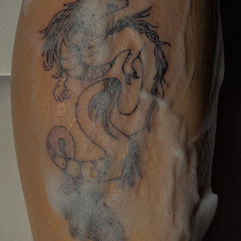 Тату твоєї мрії
                    Тату мастер Олена Киев