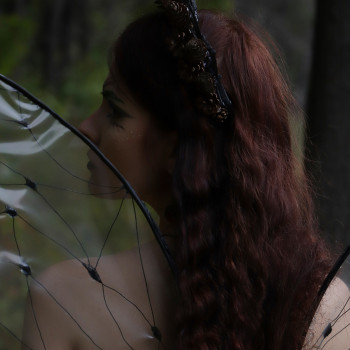 Юльчик Лапульчик, Кропивницький Фото - 50