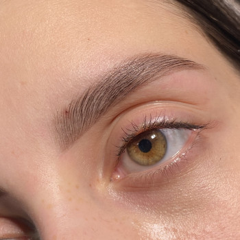 Корекція + фарбування брів