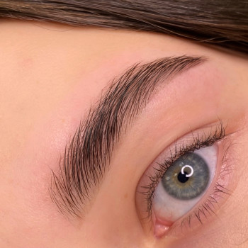 Корекція + фарбування брів