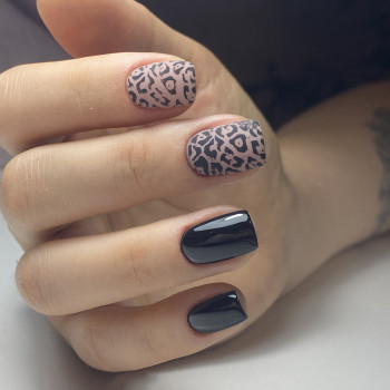 Beauty 2 Girls Studio, Київ Фото - 13