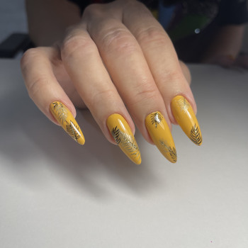 Лазерне видалення волосся
                    Майстер манікюру Анна Запоріжжя