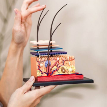 Фото из портфолио мастера Анастасія Ільчук (мастер депиляции, Киев)