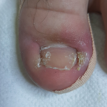 Наталія Грабар, Шпола Фото - 12