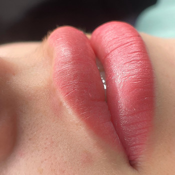 Шикарні нюдові ПМ губки