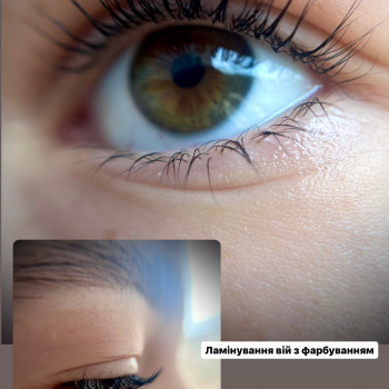 Ламінування вій
                    Бровист Ирина Николаев