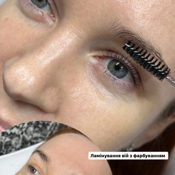 Ламінування вій
                    Бровист Ирина Николаев