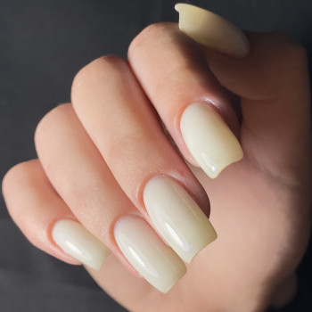 Lotus Esthetic, Львів Фото - 6