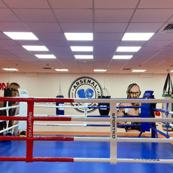 Бокс. Індивідуальні тренування. Arsenal Boxing Club
